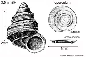 Species Image